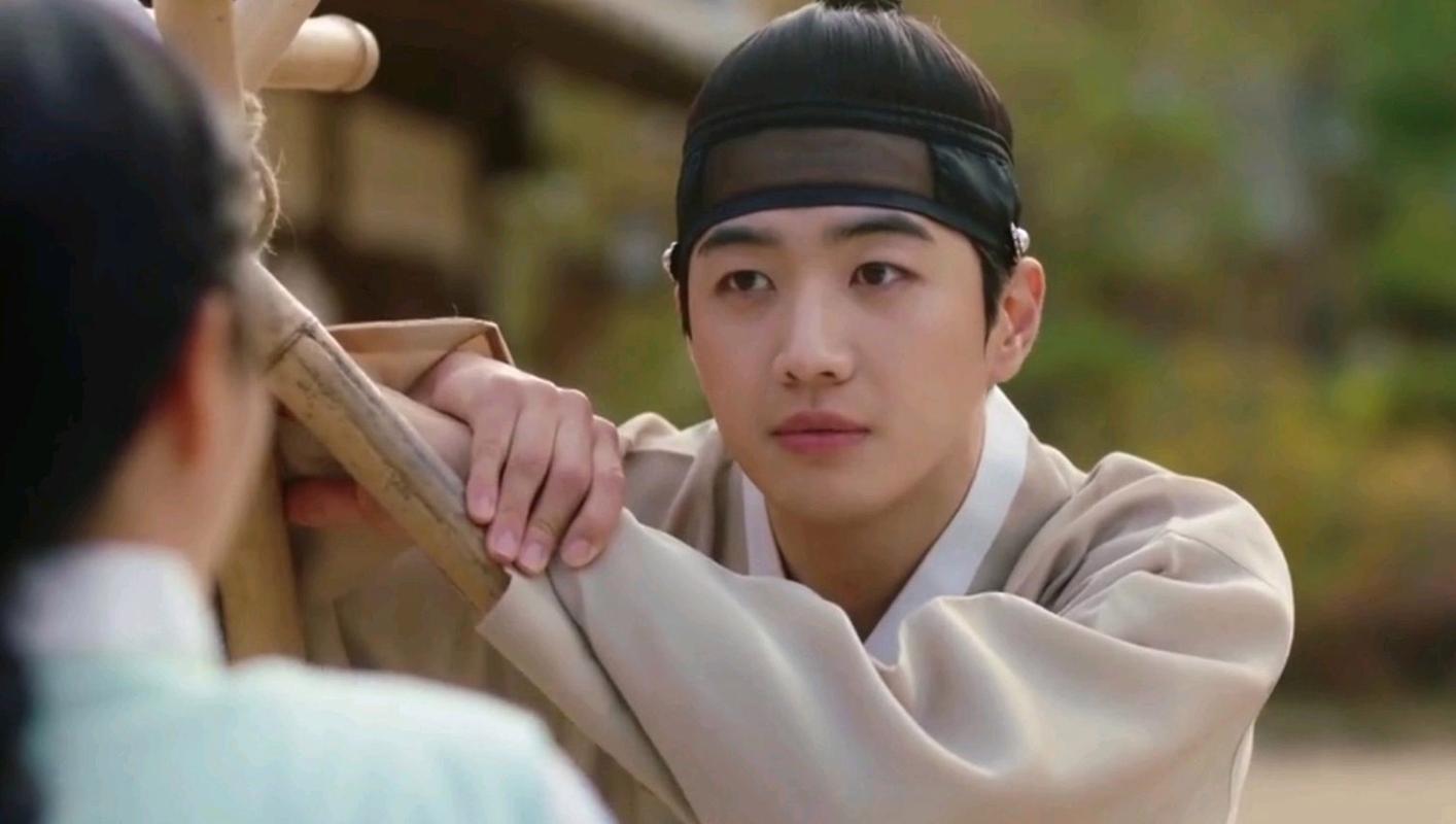 花书生恋爱史一共多少集?一部高评分的韩国历史剧