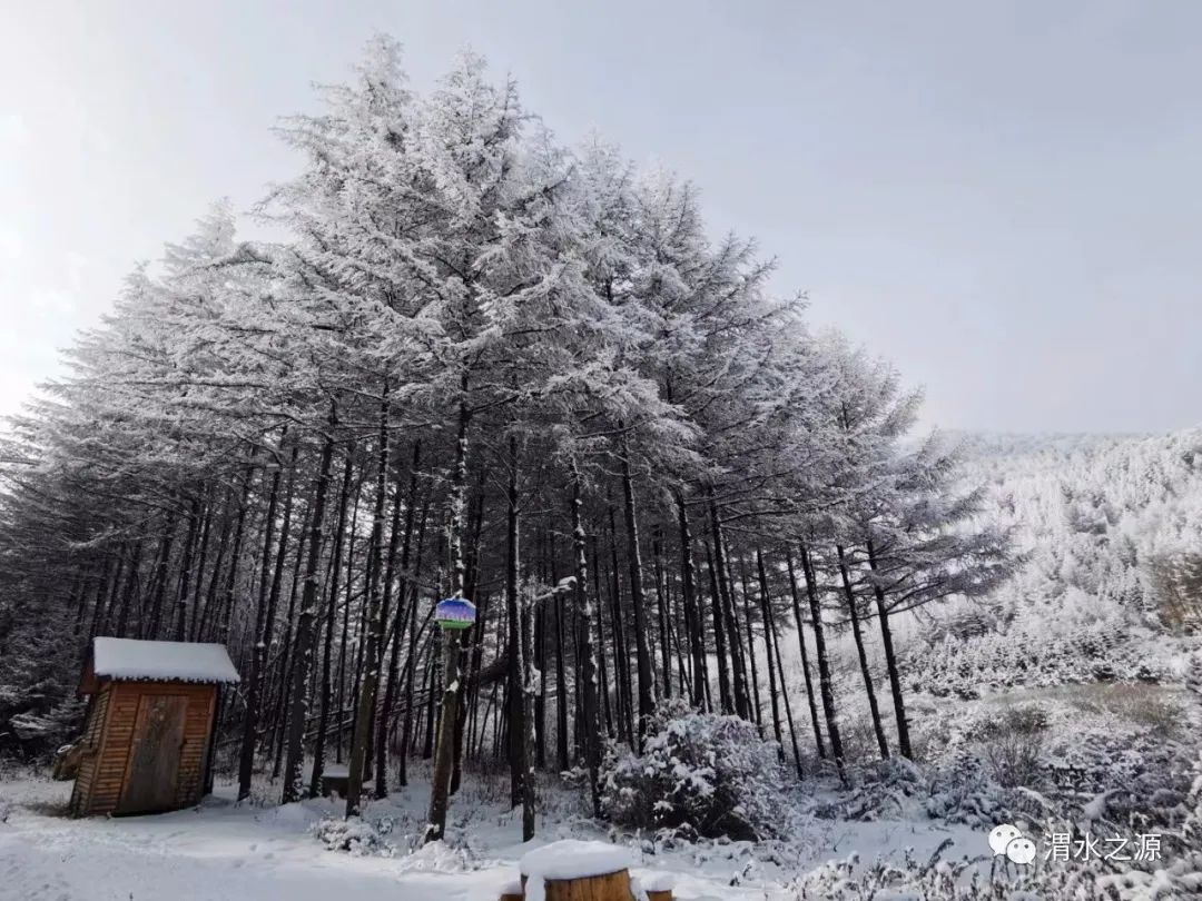 冬季到渭源,除了赏雪滑雪还有许多让你心动的理由!