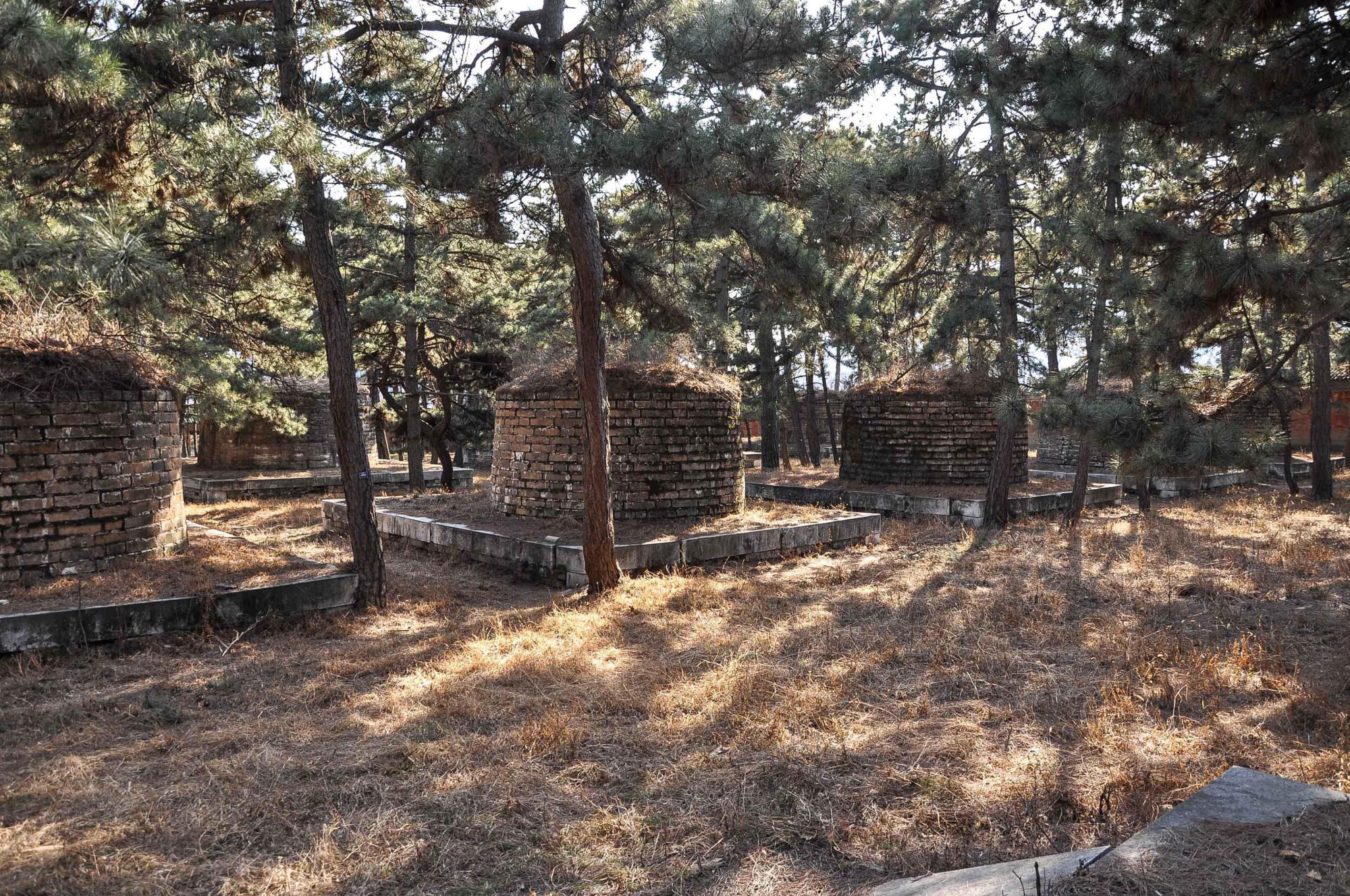 搜嫩不搜老,葬饥不葬饱,清东陵之定陵妃园寝