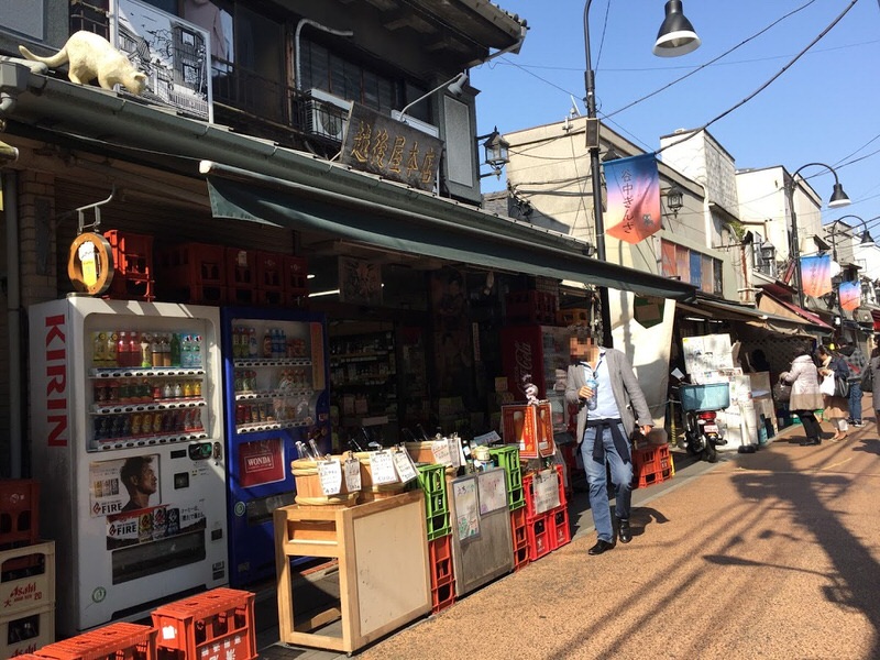 日本东京散步绝佳景点,谷根千!充满下町风情之推荐旅游观光地