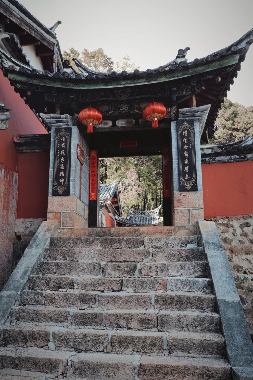 今年三多节来玉峰寺赏茶花吧