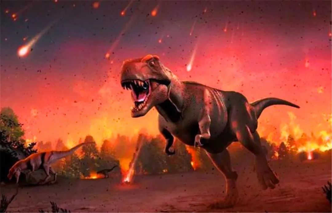 恐龙繁衍后代的交配器官长什么样?科学家从恐龙化石中解开了疑惑