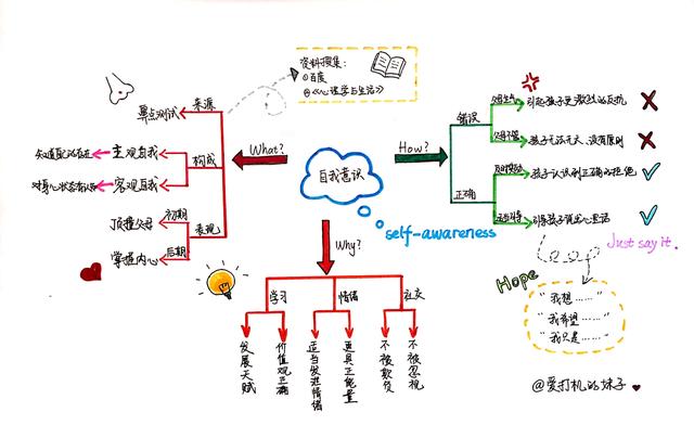 wonder的思维导图图片