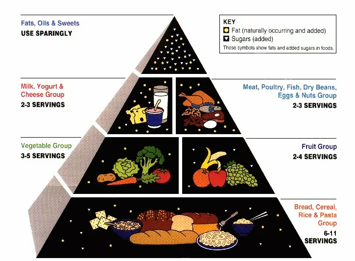 美国居民膳食指南图片