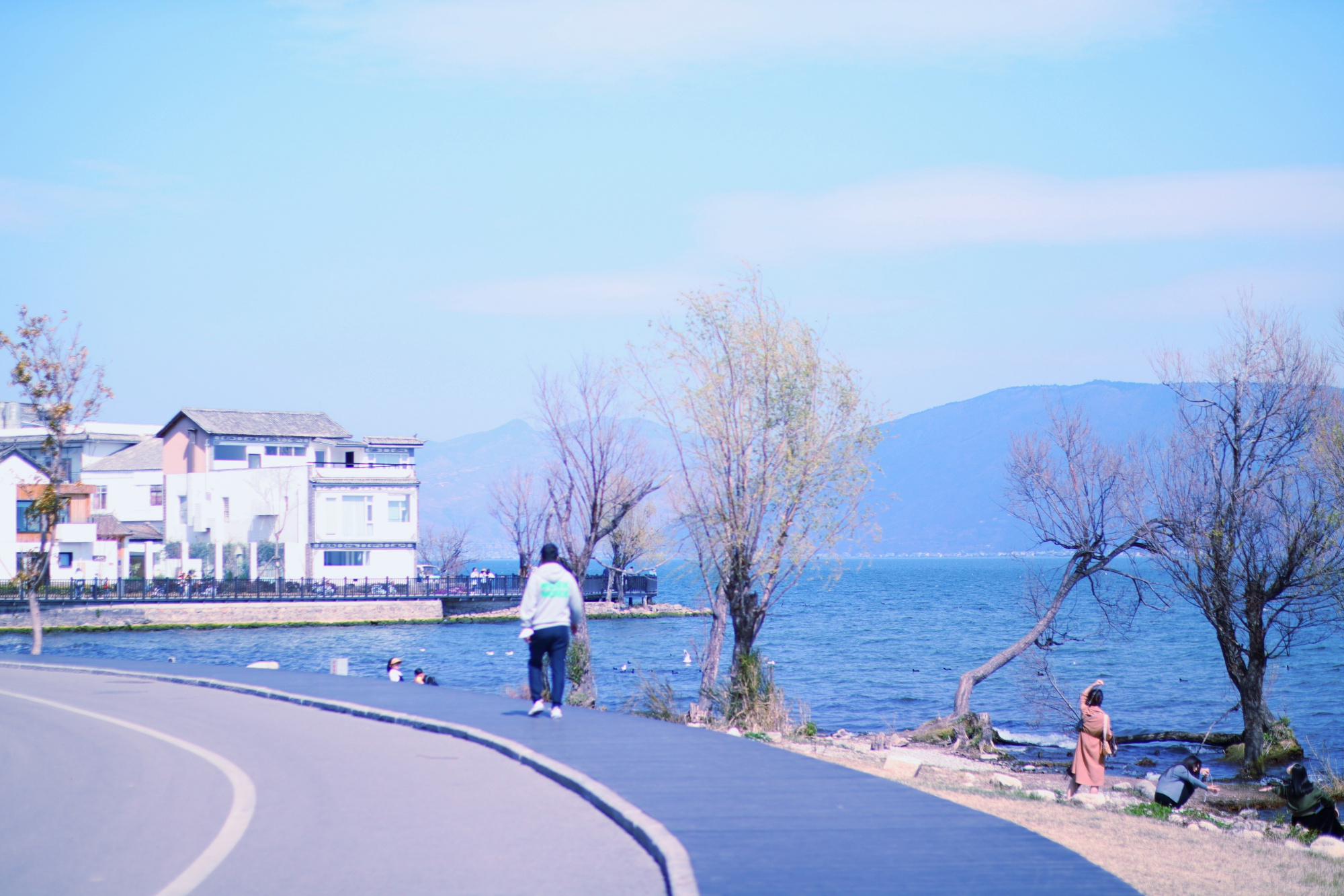 环大理洱海骑行,湖景很美还有海鸥,但是还是有点小失望