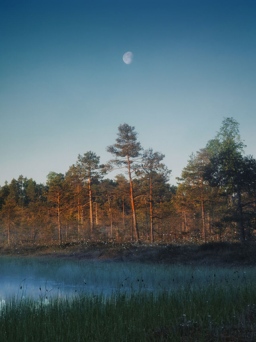 2023华为影像大赛|日常生活中的摄影力量