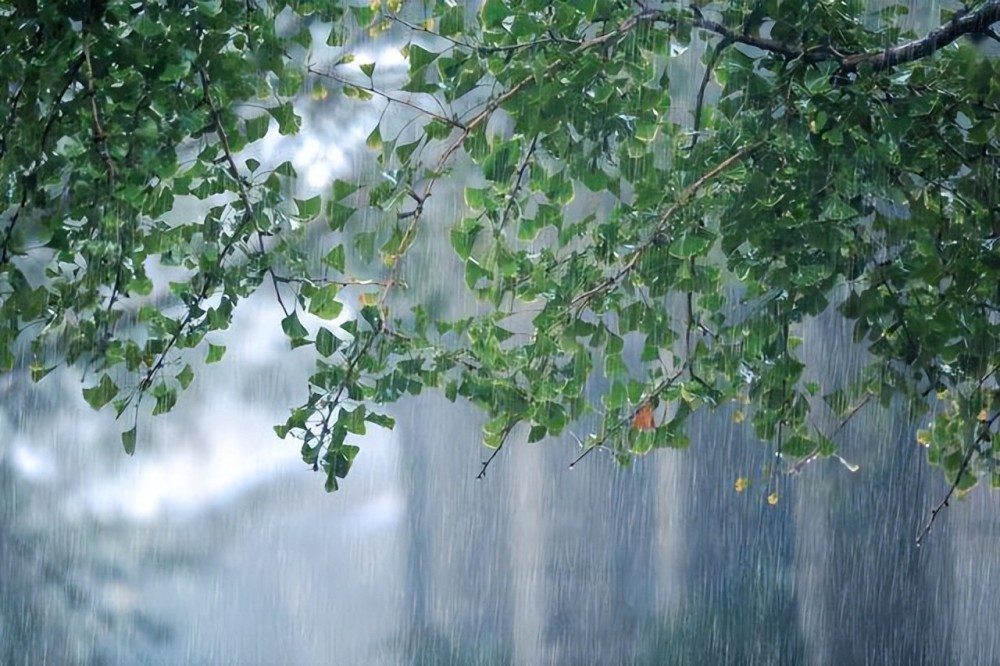 下雨天照片秋天图片