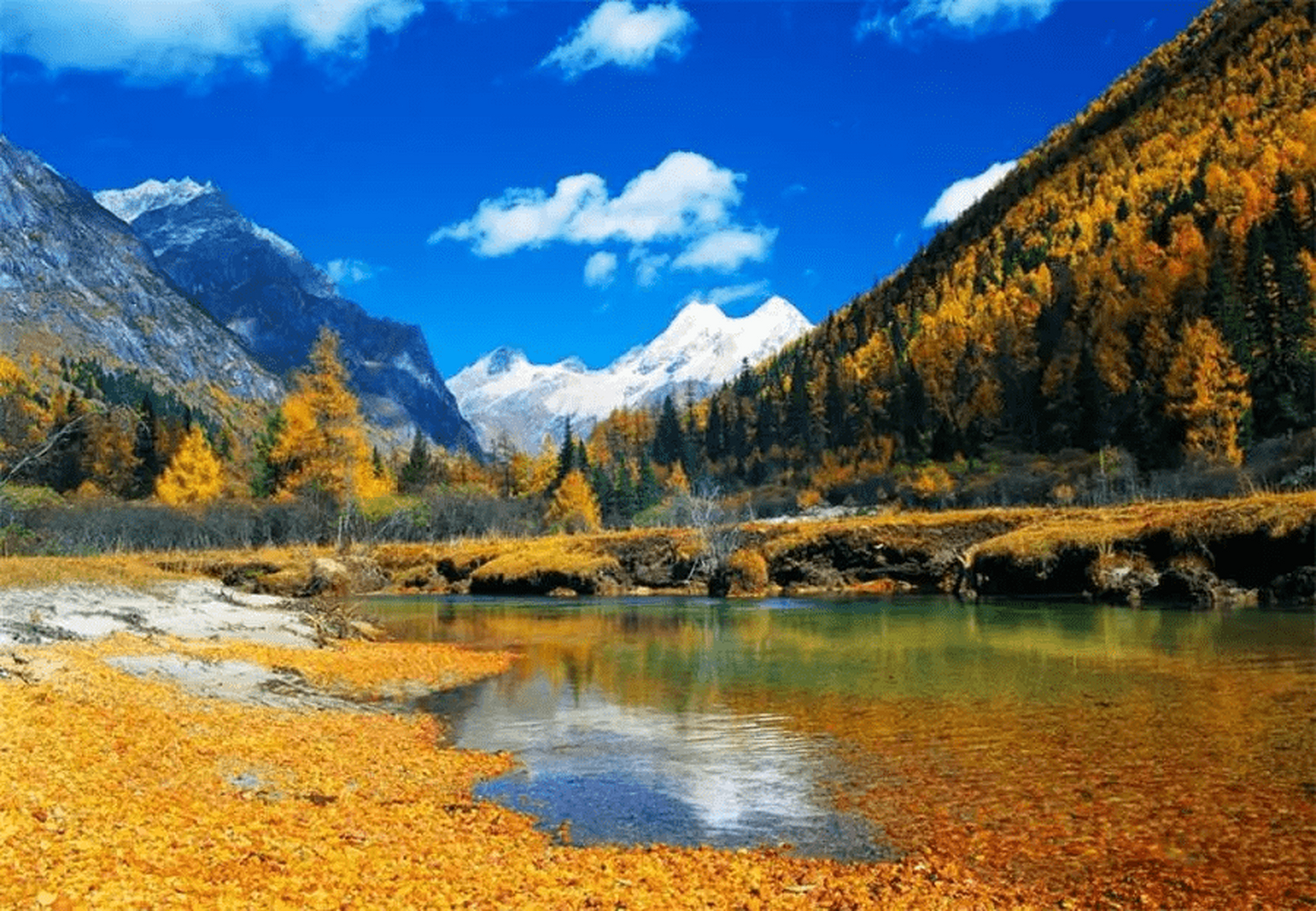 玛嘉沟 推荐指数:★★★★★ 玛嘉沟是川西一处秘境