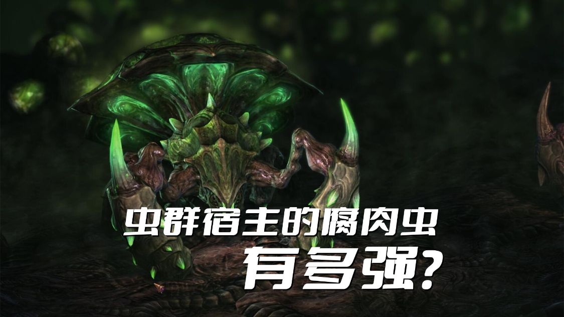 《星际争霸》虫群宿主的腐肉虫有多强?掘地虫后期根本没啥用