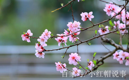 11月,一夜暴富,天榻大喜,有房又有錢,運程火爆,臨門三喜