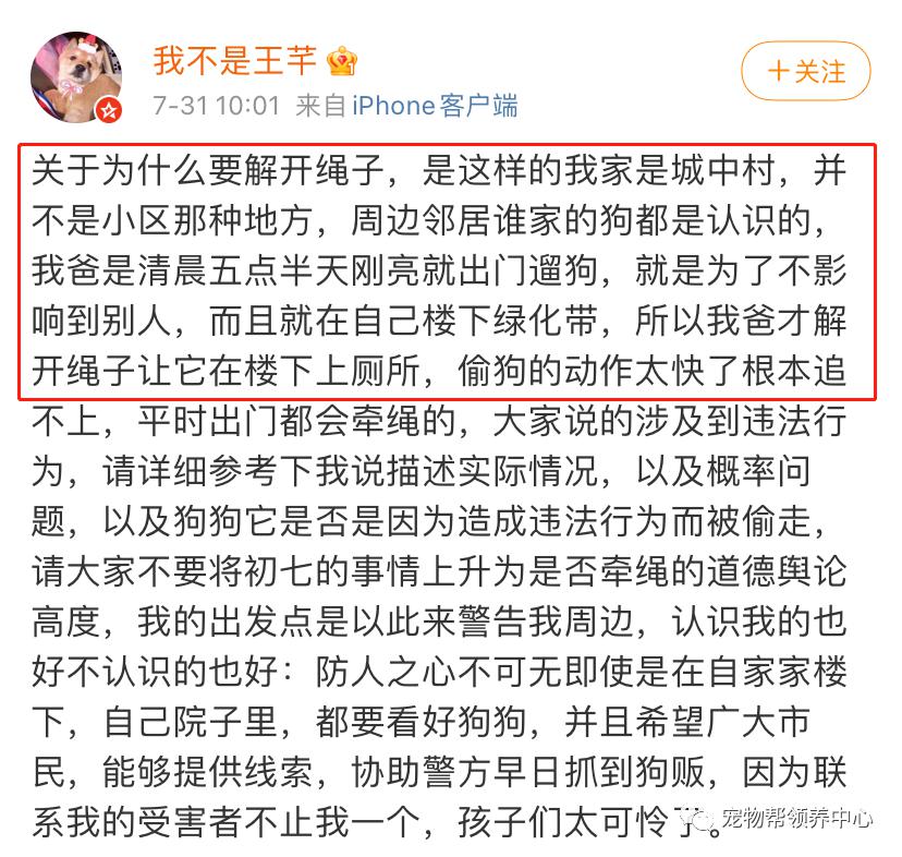 柴犬初七当街被偷走怎么回事柴犬初七事件始末凶手抓到了吗