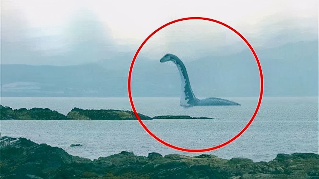 神秘的长白山天池水怪,到底是什么生物?专家给出合理解释