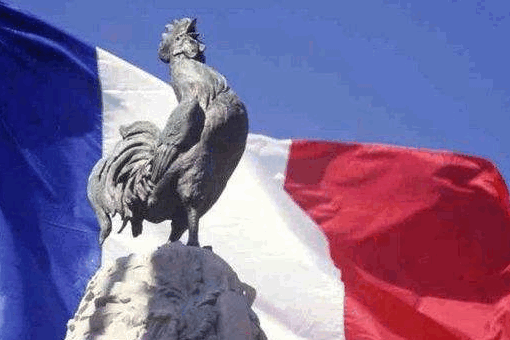 法国为什么叫高卢雄鸡 是什么梗什么意思称号来源寓意出处介绍