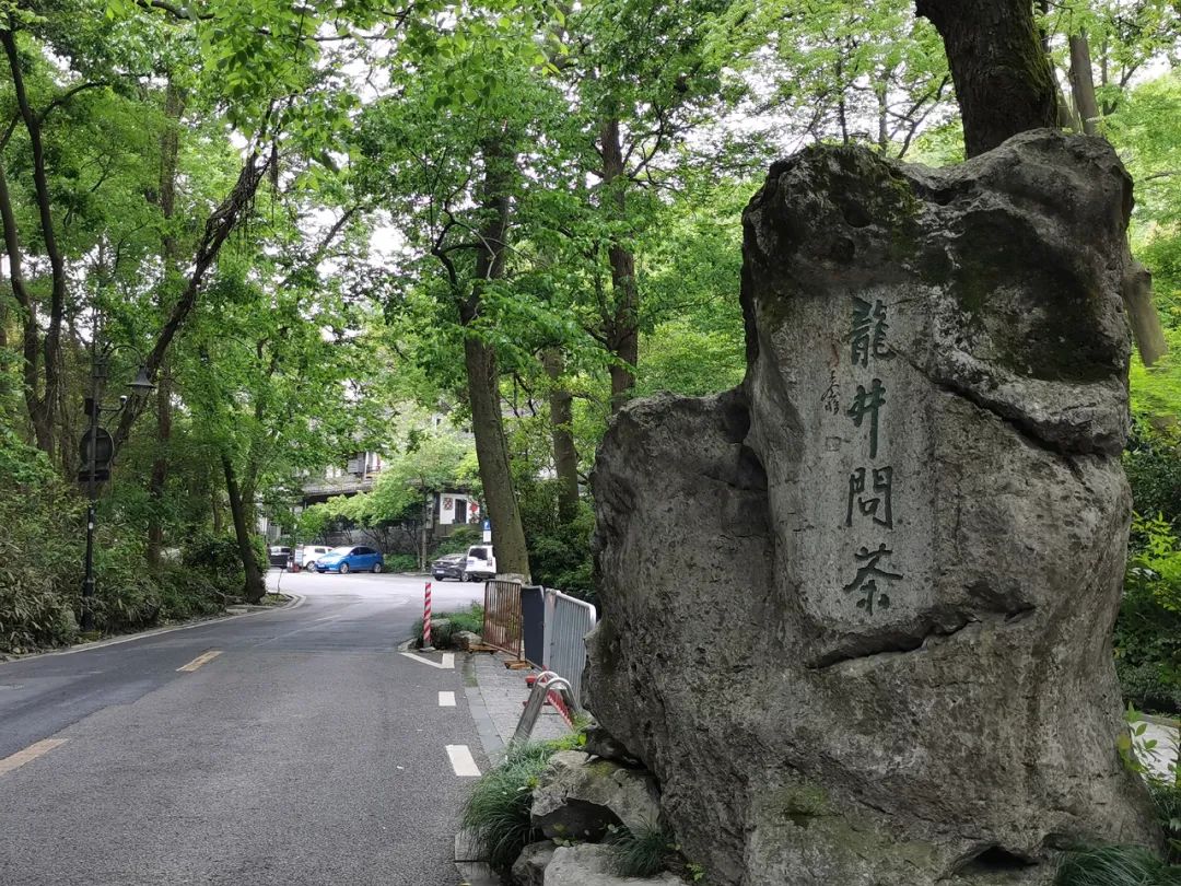 杭州狮峰山下,龙井泉边,有乾隆皇帝的十八棵御茶树