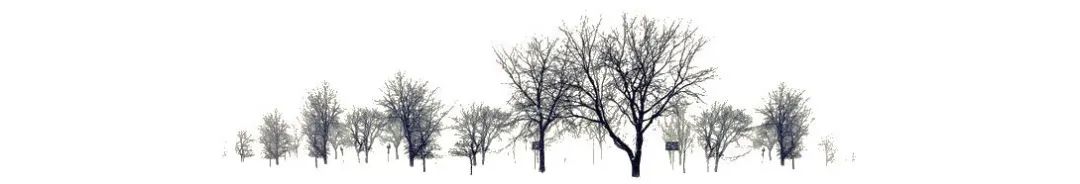 宋长征:陶渊明的逃脱术