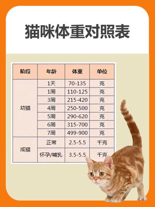 布偶猫幼猫体重对照表图片