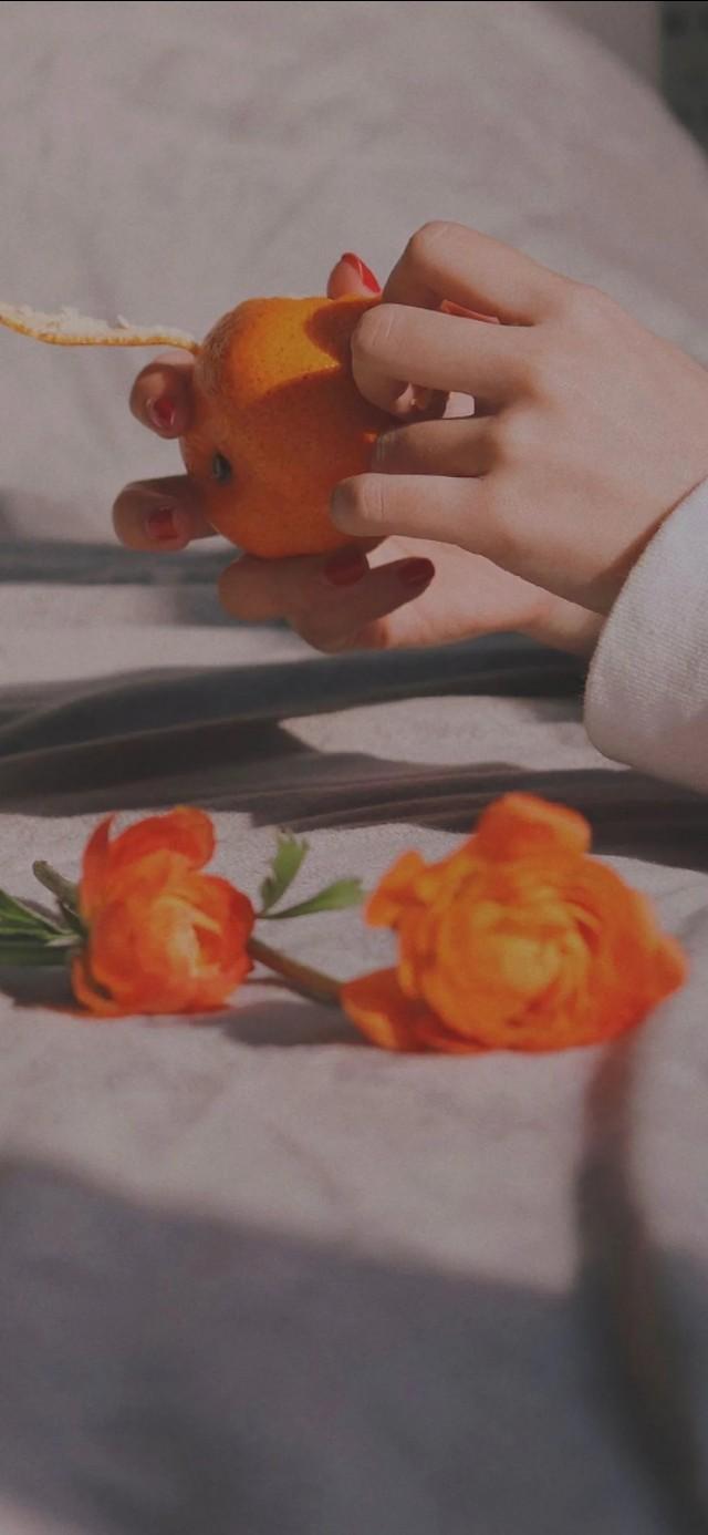 晋江高收藏现言完结!舞台王者沈隽意×人间妖精赵虞