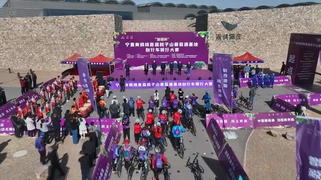 青铜峡:乘势而上 奋勇前行 全力推动葡萄酒产业高质量发展