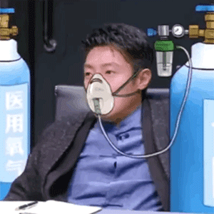 撒贝宁,表情包大户,金句和爆梗制造机