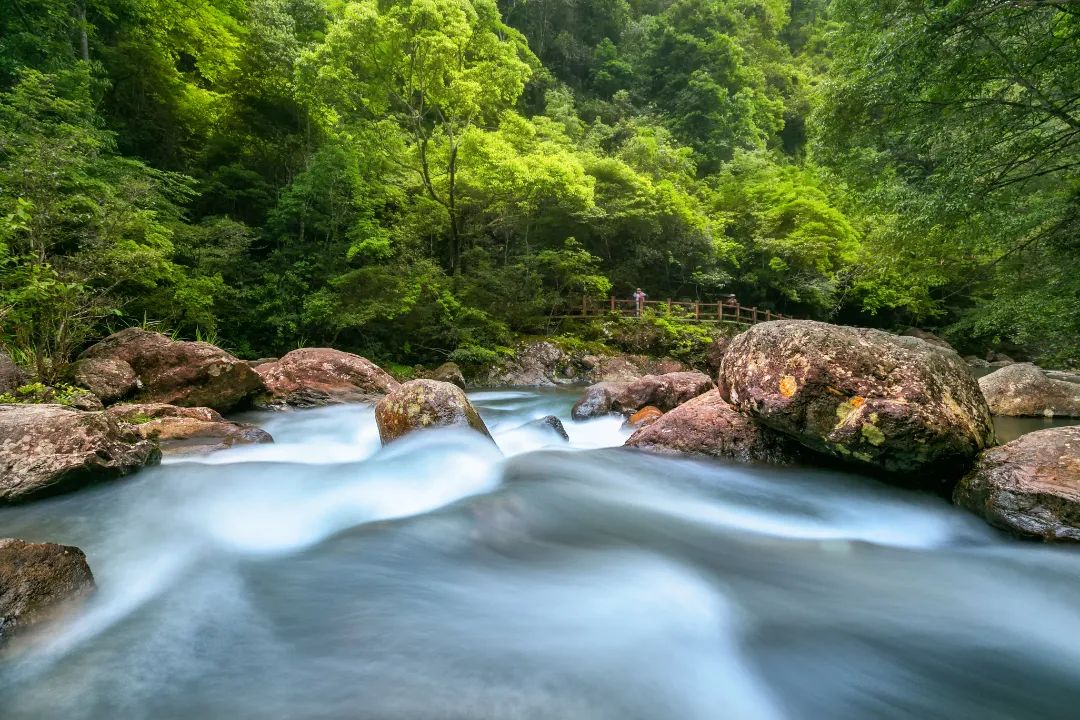 三百山东风湖图片