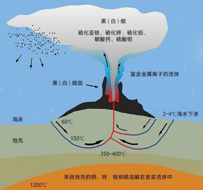 生活在450℃海底热泉旁的大虾,数量惊人,能拿来下火锅吗?