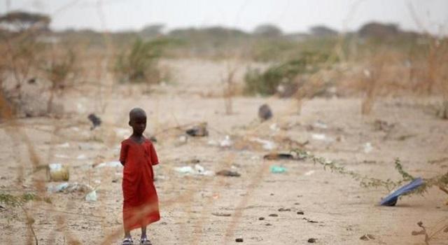 还记得闻名世界"秃鹫和小女孩"的照片,26年过去,孩子现状如何