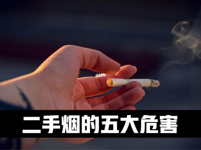 怎么消除麻将馆二手烟 室内消除二手烟的方法