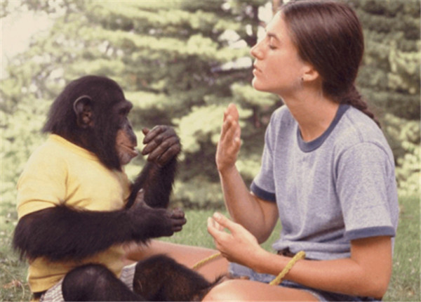 科学家的反人道实验,让5名女性与猩猩"杂交",最终结果如何?