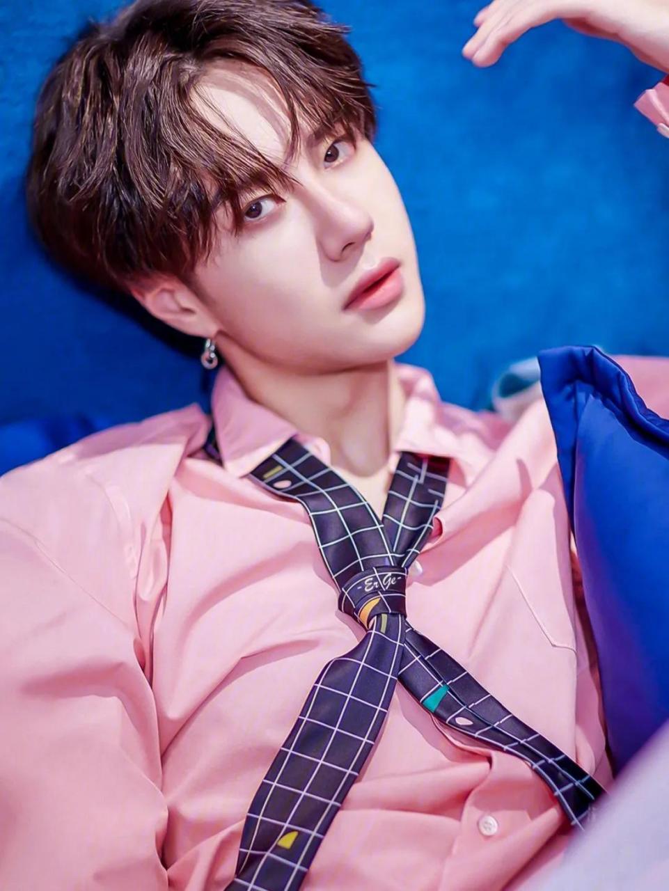 不过河南籍明星有一个特点,就是阳盛阴衰,出名的明星中,帅哥多美女少.