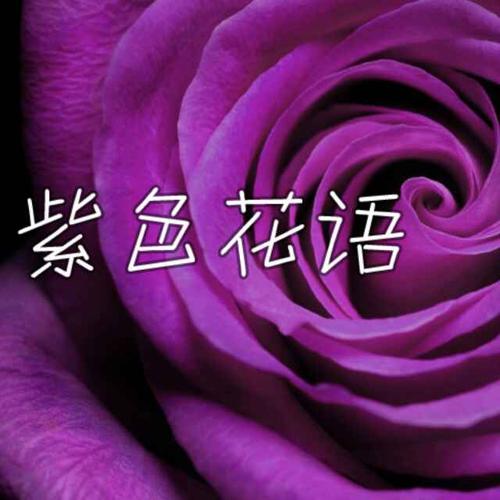 紫色花语内衣店质量怎么样