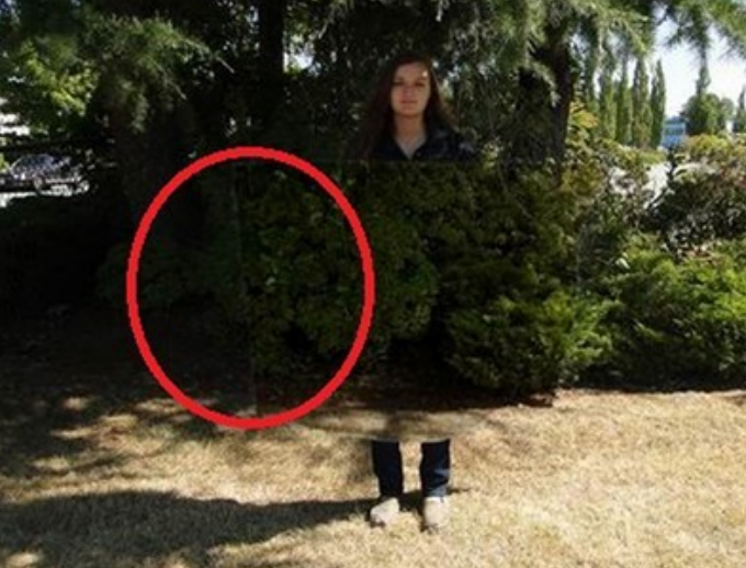 回顾中国天才刘若鹏,研制出隐身衣引起美国关注,回国时百般受阻