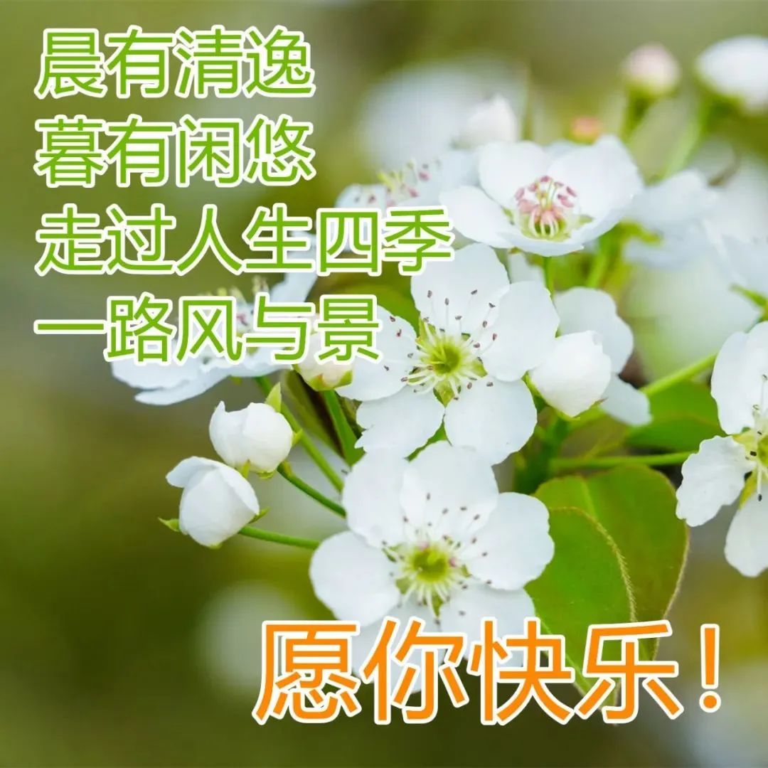 特漂亮的早安动画表情图片带字,早上好表情祝福语图片