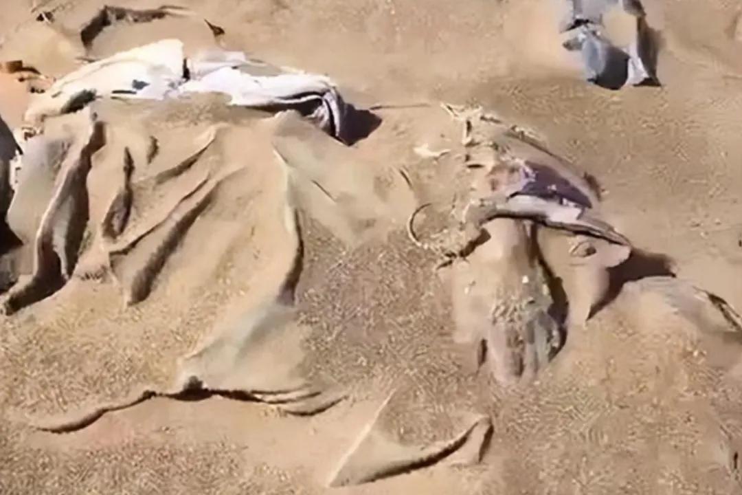 罗布泊自驾车队失联者全部遇难,无人区不是探险者的"天堂"!