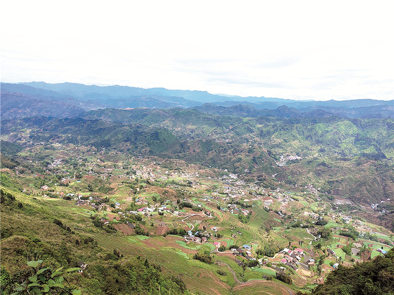 奋力打造乡村振兴"开州样本"