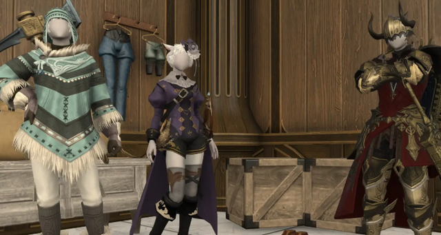 ff14波导是什么意思