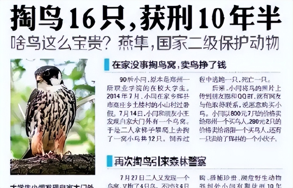 在中国用判几年=中国被判刑的人有多少