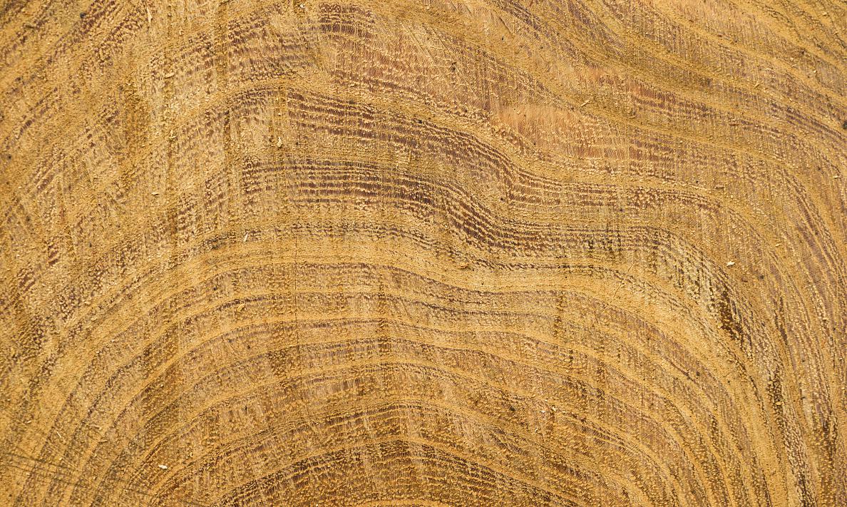 橡胶木是什么档次的木材?橡胶木有什么优势
