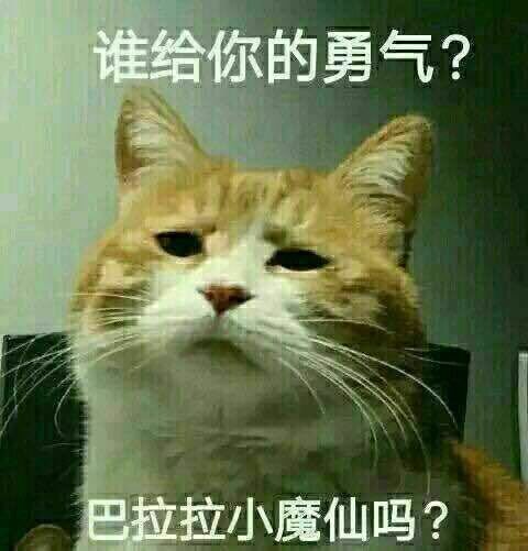 网红吃星巴克398元自助餐,视频曝光引群嘲:优越感,正在拖垮你