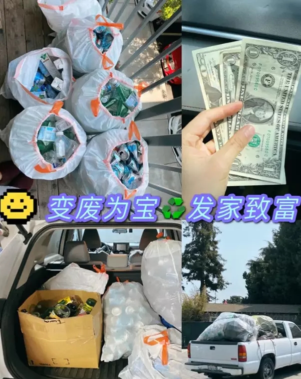 孙海英夫妻美国街头捡垃圾,全副武装翻垃圾桶,这次是真的