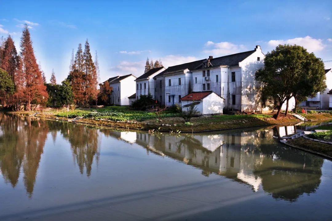 练塘这个村,有了新气象