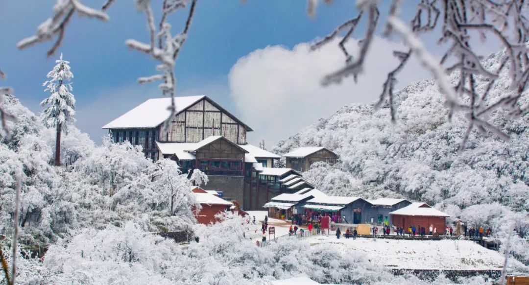 金佛山北坡雪景图片