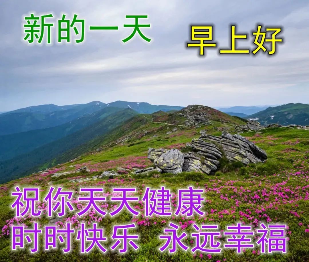 特漂亮早上好表情圖片帶鮮花 2023最新版早上好表情圖片