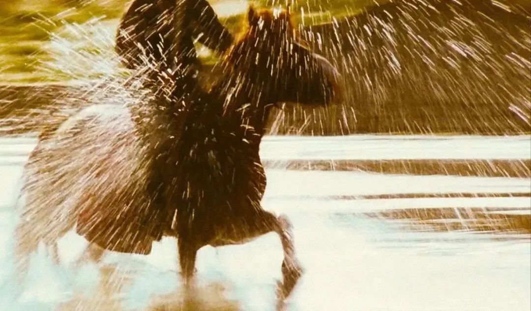 那美好的仗我已经打完