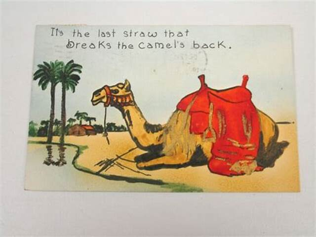 最后一根稻草压死骆驼图片