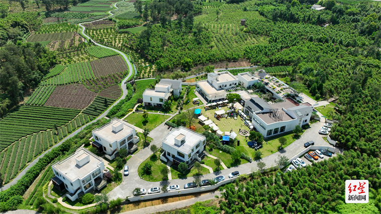 成都蒲江明月村邀您一起"集市"行乐