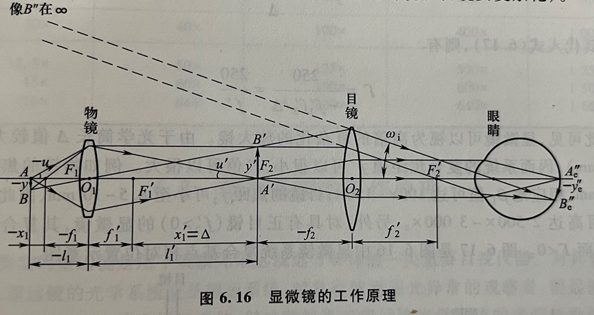 为什么在显微镜当中目镜越短倍数越大