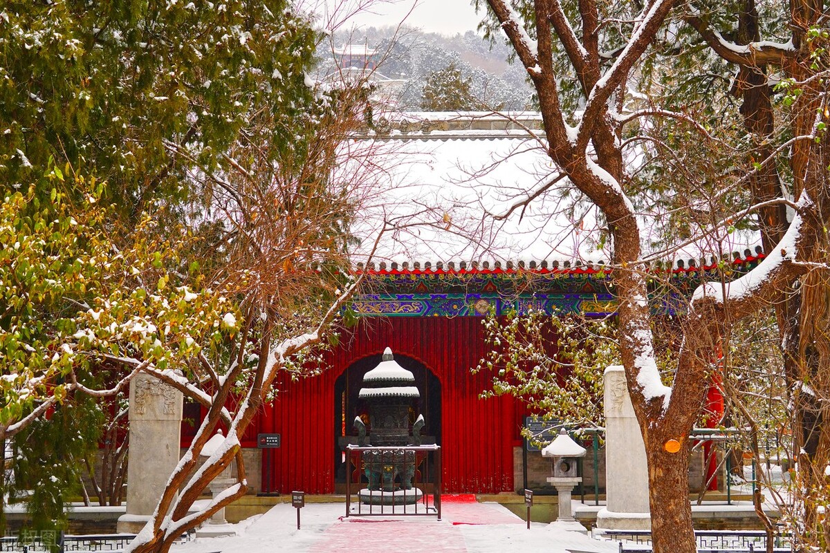 北京千年古刹卧佛寺雪景如画 红墙银衣金瓦白雪清冷雅致更显静谧