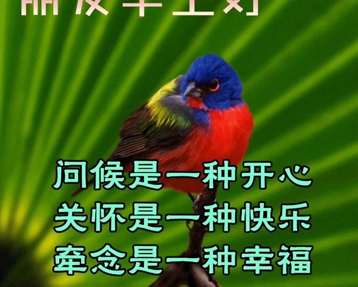 阳光早上好图片加文字图片