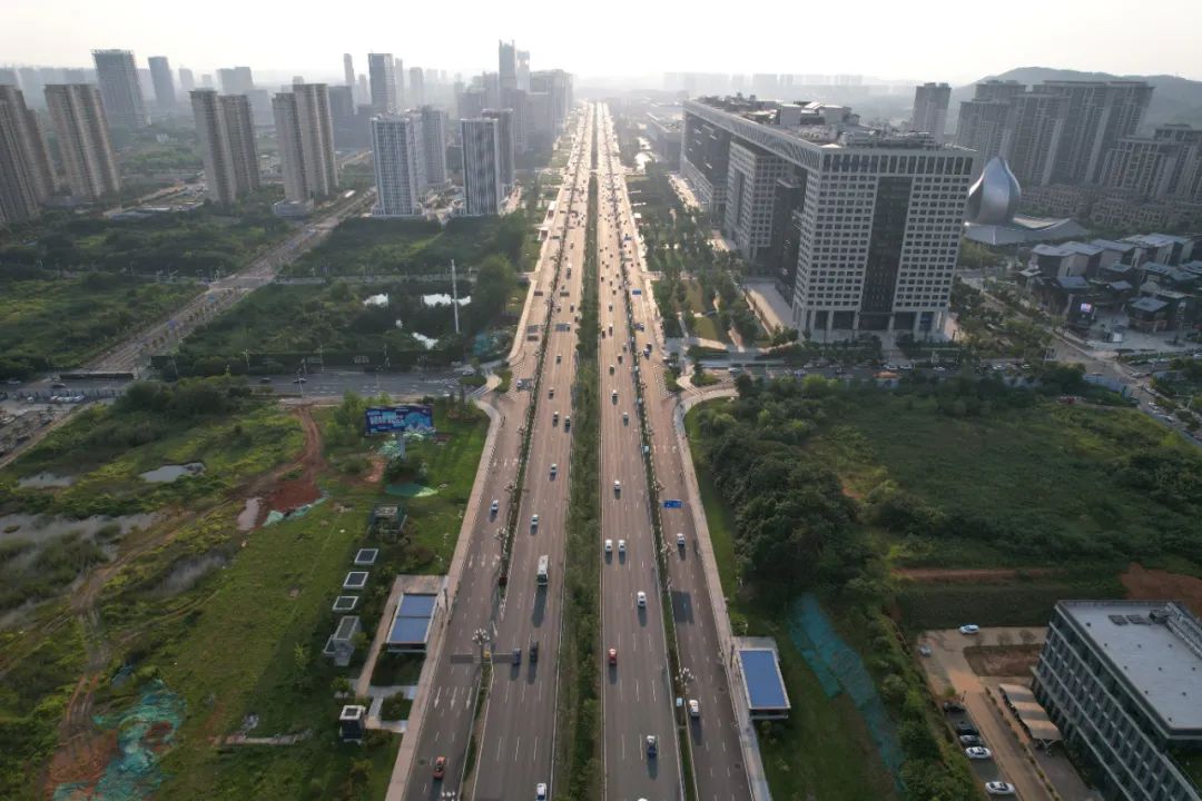高新大道处于武汉与鄂州一体化的门户区域, 向西通往武汉主城区,向东