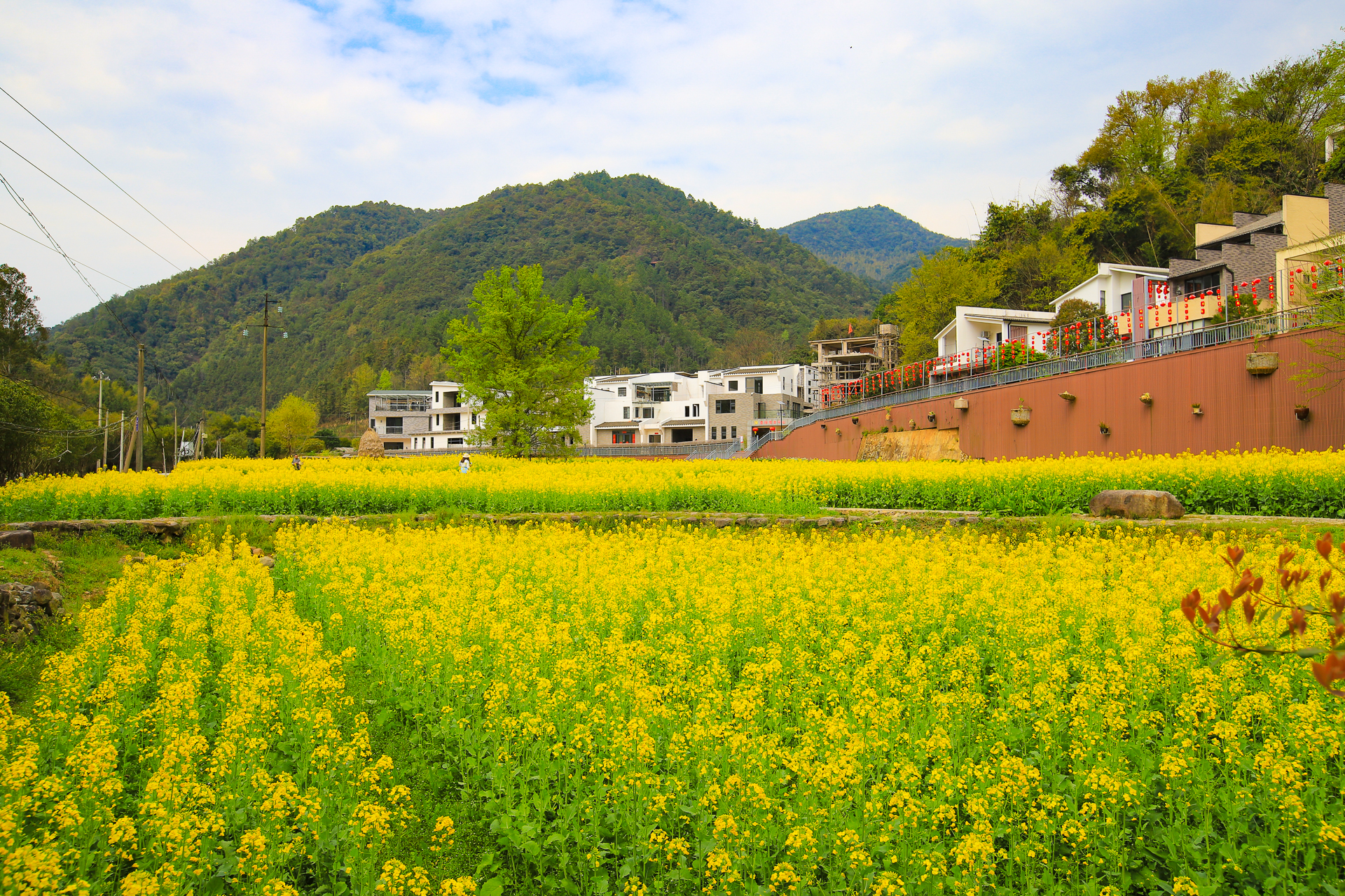 走进大余县丫山,打卡网红天空之镜,享一片林深树密的天然氧吧